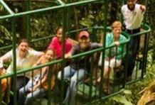 Ultimate Three (Tranopy)